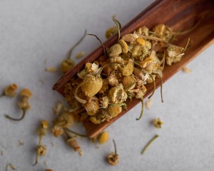 Цветки ромашки купить в Минске, Травяной чай
