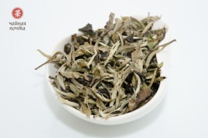 Юэ Гуан Бай (Белый Лунный Свет), 2017 г. купить в Минске, Белый чай