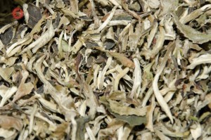 Юэ Гуан Бай (Белый Лунный Свет), 2017 г. купить в Минске, Белый чай