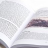Книга "История Китайской живописи", Лю Шичжун купить в Минске, Книги о чае и Китае