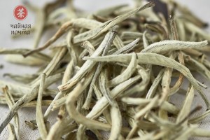 Бай Цзянь Гу Шу (Белые Лезвия со Старых Деревьев), Юньнань, весна 2018г. купить в Минске, Белый чай