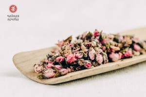 Цветки Персика купить в Минске, Цветы