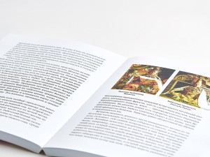 Книга &quot;История Китайских праздников&quot;, Вань Лина купить в Минске, Книги о чае и Китае