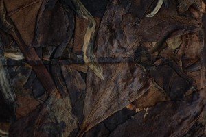 Лао Шоу Мэй в плитке, серия "Чайные Марки", Чайная Почта, 7 г., 2021 г. купить в Минске, Белый чай