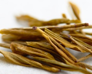 Хуан Цзинь Я "ААА" (Золотая Почка) купить в Минске, Зеленый чай