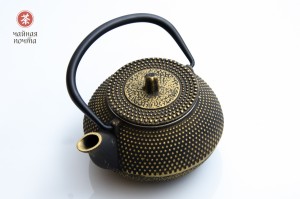 Чайник #310, 200 мл., чугун, Чайники