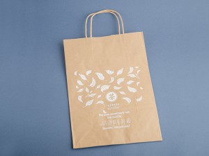 Крафт пакет с ручками ЧП, 22х32х10 см. (25 шт. упаковка) купить в Минске, Упаковка товара