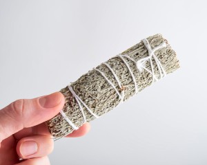 Шалфей Калифорнийский голубой Mini, 11см. купить в Минске, Благовония