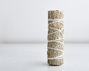Шалфей Калифорнийский голубой Mini, 11см. купить в Минске, Благовония