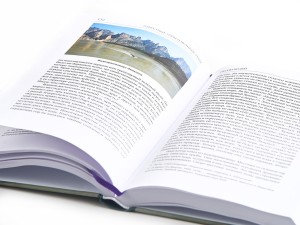 Книга "Известные горы и великие реки", Лян Хэн купить в Минске, Книги о чае и Китае